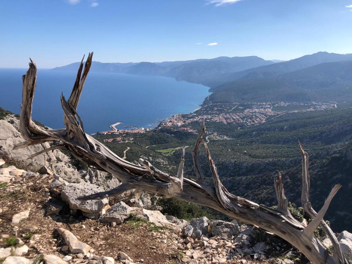 Appartamento Meduse Cala Gonone Luaran gambar